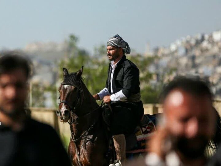 Sanandaj Hosts Inaugural Festival Celebrating Kurdish Purebred Horses