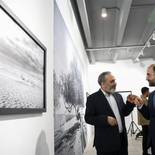 Tehran Unveils Stunning Winning Shots from International Photo Competition