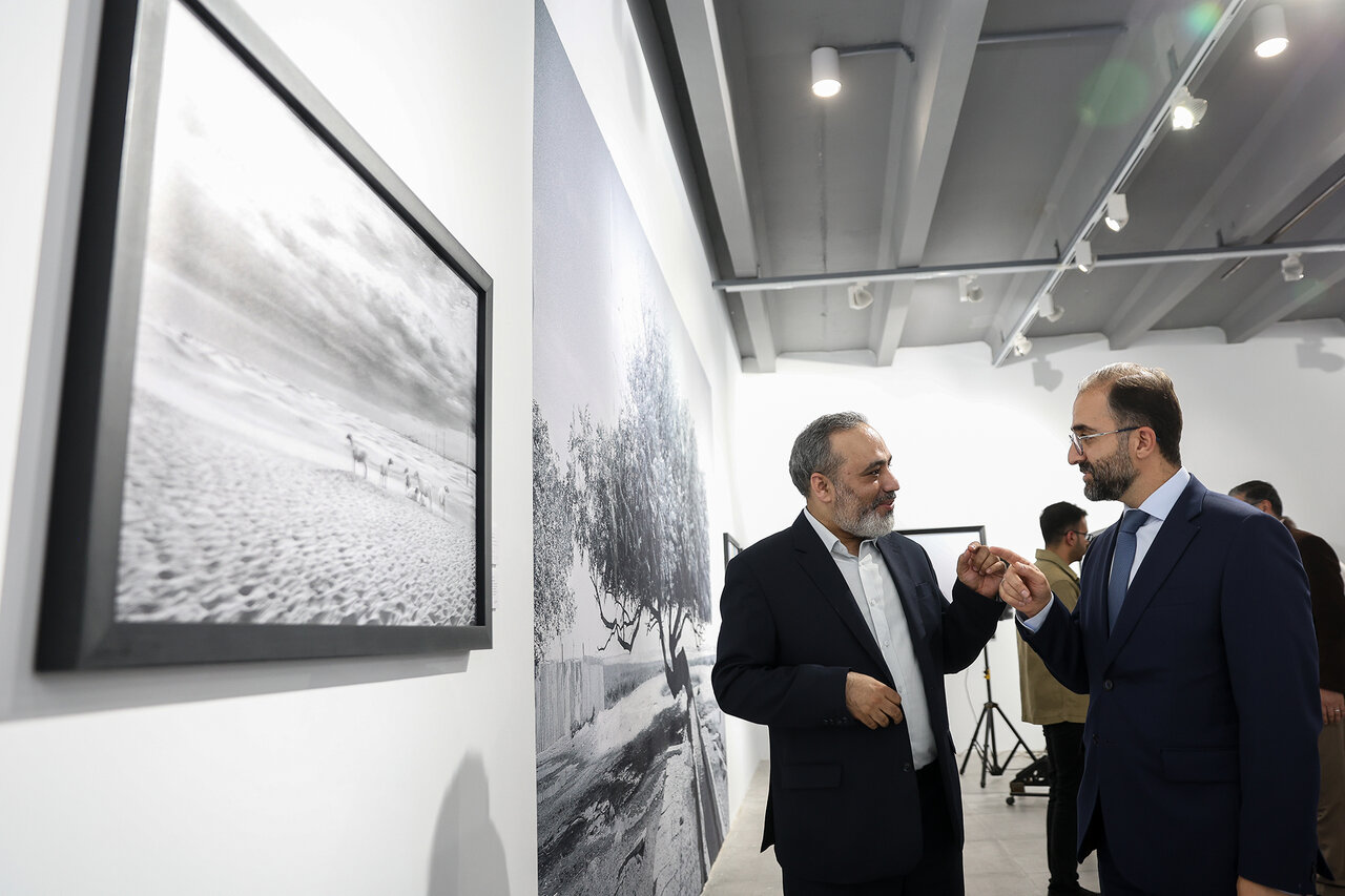 Tehran Unveils Stunning Winning Shots from International Photo Competition
