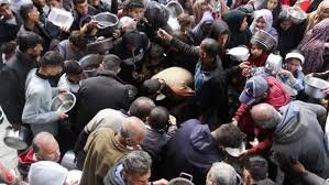 Tragic Toll: 14 Elderly Lives Lost in Gaza Due to Starvation and Siege in Just One Week