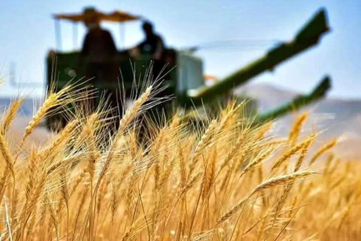 Urgent GIEWS Report Unveils Critical Insights on Food Security Challenges in Iran